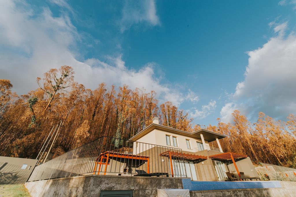Ocean View Villa フンシャル エクステリア 写真
